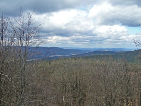Foto 19